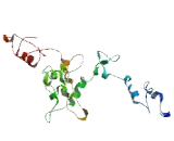 Family With Sequence Similarity 134, Member A (FA<b>M134</b>A)