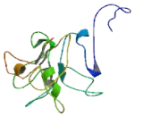 Family With Sequence Similarity 135, Member A (FAM135A)