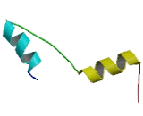 Family With Sequence Similarity 138, Member D (FAM138D)