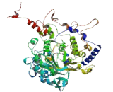 Family With Sequence Similarity 149, Member A (FAM149A)