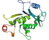 Family With Sequence Similarity 151, Member A (FAM151A)