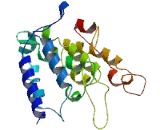 Family With Sequence Similarity 151, Member B (FAM151B)