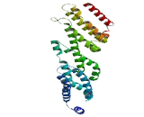 Family With Sequence Similarity 153, Member A (FAM153A)