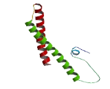 Family With Sequence Similarity 153, Member C (FAM153C)