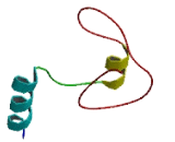 Family With Sequence Similarity 154, Member B (FAM154B)