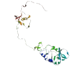 Family With Sequence Similarity 155, Member B (FAM155B)