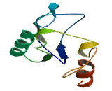 Family With Sequence Similarity 156, Member A (FAM156A)