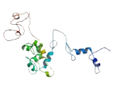 Family With Sequence Similarity 157, Member B (FAM157B)