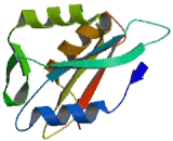 Family With Sequence Similarity 158, Member A (FAM158A)