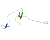 Family With Sequence Similarity 159, Member A (FAM159A)