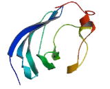 Family With Sequence Similarity 159, Member B (FAM159B)