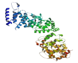 Family With Sequence Similarity 160, Member A1 (FAM160A1)