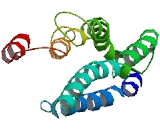 Family With Sequence Similarity 161, Member A (FAM161A)