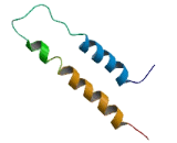 Family With Sequence Similarity 162, Member A (FAM162A)