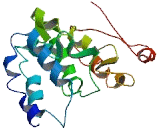 Zinc Finger C2HC Domain Containing Protein 1B (ZC2HC1B)