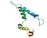 Family With Sequence Similarity 164, Member C (FAM164C)