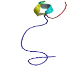 Small Integral Membrane Protein 11 (SMIM11)