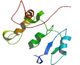 Family With Sequence Similarity 166, Member B (FAM166B)