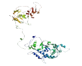 Family With Sequence Similarity 169, Member A (FAM169A)