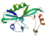 Family With Sequence Similarity 169, Member B (FAM169B)