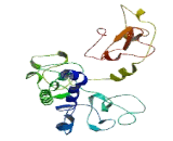 Family With Sequence Similarity 170, Member A (FAM170A)