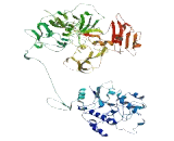 Family With Sequence Similarity 171, Member A1 (FAM171A1)