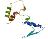 Family With Sequence Similarity 173, Member A (FA<b>M173</b>A)