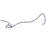 Family With Sequence Similarity 174, Member B (FAM174B)