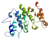 Family With Sequence Similarity 175, Member A (FAM175A)