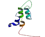 Family With Sequence Similarity 178, Member A (FAM178A)