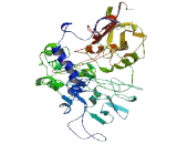 Family With Sequence Similarity 178, Member B (FAM178B)