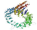 Family With Sequence Similarity 179, Member B (FAM179B)