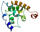 Family With Sequence Similarity 180, Member A (FAM180A)