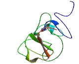 Family With Sequence Similarity 183, Member B (FAM183B)