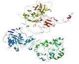 Family With Sequence Similarity 184, Member B (FAM184B)