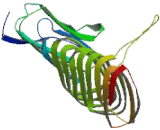 Family With Sequence Similarity 185, Member A (FAM185A)