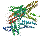 Family With Sequence Similarity 186, Member A (FAM186A)