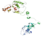 Family With Sequence Similarity 188, Member B (FAM188B)