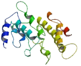 Family With Sequence Similarity 189, Member A1 (FAM189A1)