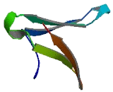 Family With Sequence Similarity 189, Member B (FAM189B)