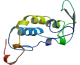 Family With Sequence Similarity 19, Member A1 (FAM19A1)