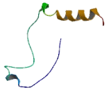 Family With Sequence Similarity 19, Member A3 (FAM19A3)