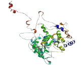 Coiled Coil Serine Rich Protein 2 (CCSER2)