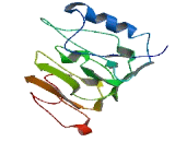 Family With Sequence Similarity 191, Member B (FAM191B)