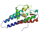 Family With Sequence Similarity 192, Member A (FAM192A)