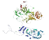 Family With Sequence Similarity 193, Member A (FAM193A)