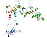 Family With Sequence Similarity 193, Member B (FAM193B)