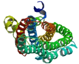 Family With Sequence Similarity 194, Member B (FAM194B)