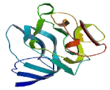 Family With Sequence Similarity 195, Member A (FAM195A)