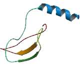 Family With Sequence Similarity 195, Member B (FA<b>M195</b>B)